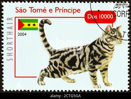 SAO TOMÉ E PRINCIPE - CIRCA 2004: Un francobollo stampato a Sao Tomé e Principe dal numero 'Cats' mostra American Shorthair, circa 2004. Foto Stock