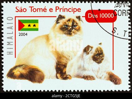 SAO TOMÉ E PRINCIPE - CIRCA 2004: Un francobollo stampato a Sao Tomé e Principe dal numero 'Cats' mostra Himalayan, circa 2004. Foto Stock