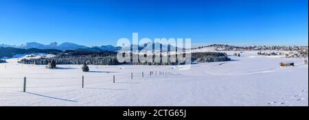 Neve fresca nuova e una fredda mattina d'inverno nel Allgäu - impressioni dai piedi bavaresi delle Alpi vicino a Seeg. Foto Stock