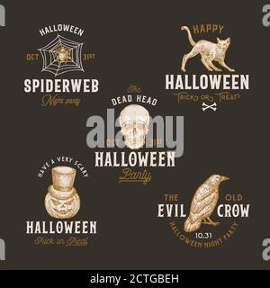 Set di modelli di etichette o loghi Halloween vintage. Raccolta simboli di disegno a mano Spider Web, zucca, scultura, corvo o Raven e Cat Sketch. Retrò Illustrazione Vettoriale