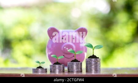 Piantando piantine su un mucchio di monete e un grafico che mostra la crescita finanziaria, i concetti di investimento e la crescita di affari. Foto Stock