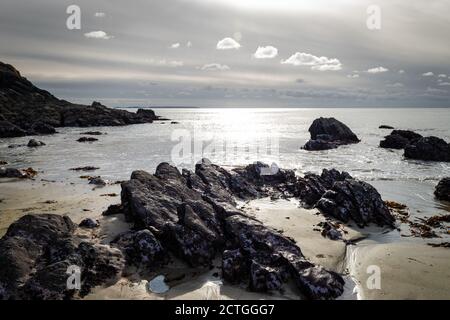 Caerfai Bay dal sentiero costiero di Pembroke Foto Stock