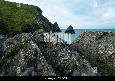 Ceibwr Bay dal sentiero costiero di Pembroke Foto Stock