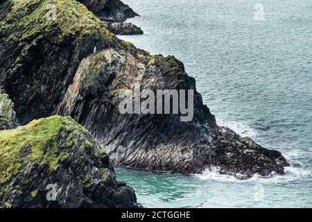 Ceibwr Bay dal sentiero costiero di Pembroke Foto Stock