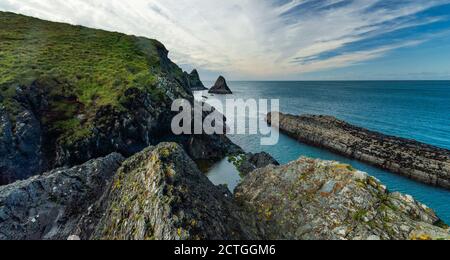 Ceibwr Bay dal sentiero costiero di Pembroke Foto Stock