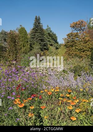 Fiori misti al confine centenario di Howard Hillier Garden Romsey Foto Stock