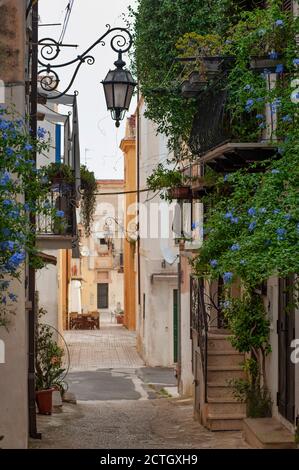 Pittoreschi vicoli italiani nel villaggio storico di San Felice Circeo. Tipiche vecchie case che riflettono l'architettura locale. Foto Stock