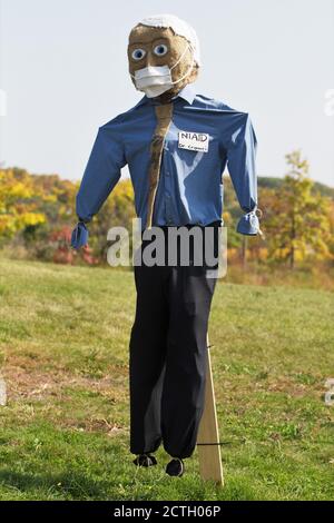 Un Dr. Fauci look-Alike scarecrow di 'Valerie', una voce nel concorso di scarecrow 2020 al Minnesota Landscape Arboretum. Foto Stock