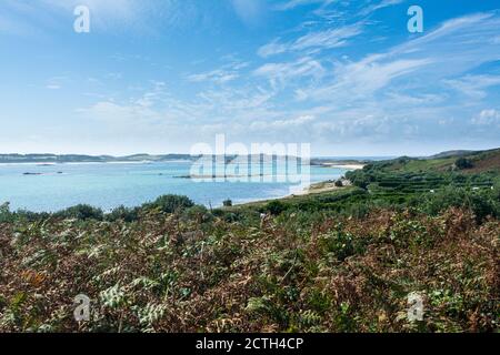 Vista da vicino a Città alta su St Martin's guardando dall'altra parte A Tresco nelle Isole di Scilly Foto Stock