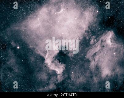 La vasta Nebula Nord America, NGC 7000 nella costellazione di Cignus, una nebulosa di emissione fotografata in alfa idrogeno monocromatico e 2,500 anni luce dalla Terra. La zona sottostante e a sinistra del ‘golfo’ è il Muro di Cignus e la nuvola nebulosa separata a destra, separata da polvere interstellare, è la Nebula Pelican, IC 5070. Foto a lunga esposizione da Londra, Regno Unito con filtro ha a banda stretta sulla telecamera ccd Atik 11000 di grande formato. Credito: Malcolm Park/Alamy. Foto Stock