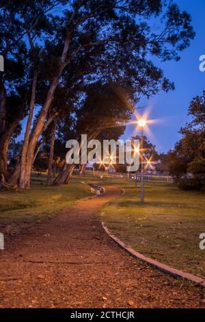 Lampioni illuminate lungo un tortuoso piccolo sentiero sterrato, che attraversa un parco pieno di alberi, Città del Capo, Sud Africa Foto Stock