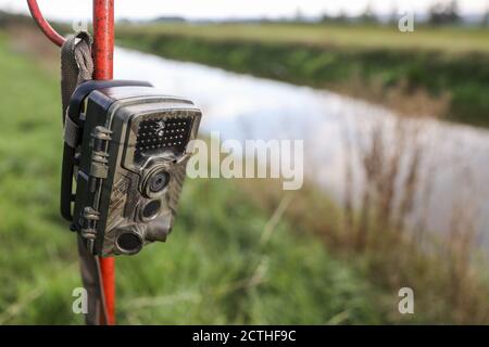 16 settembre 2020, Turingia, Schönewerda: Una telecamera per la fauna selvatica è impostata come una trappola fotografica sulle rive del Unstrut. Foto: Jan Woitas/dpa-Zentralbild/ZB Foto Stock