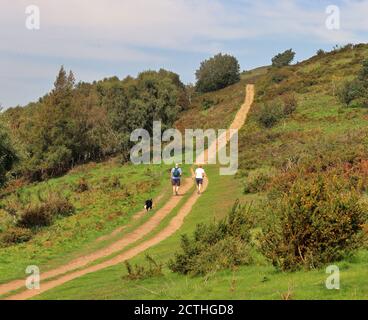 Un paesaggio rurale inglese Ion Malvern Hills in Worcestershire, Inghilterra con i cani escursionisti a piedi su una collina Foto Stock