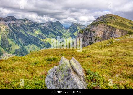 Alcune impressioni estive della famosa regione del Niederhorn nelle Alpi svizzere, HDR Foto Stock