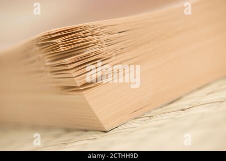 Dettaglio del libro aperto con i segnalibri di cane-orecchie. Foto Stock