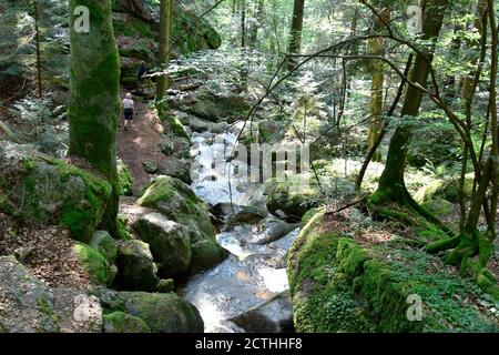 Yspertal, Austria - 25 agosto 2019: Persone non identificate sul sentiero nello Ysperklamm è un monumento naturale nel waldviertel, una parte della bassa A occidentale Foto Stock