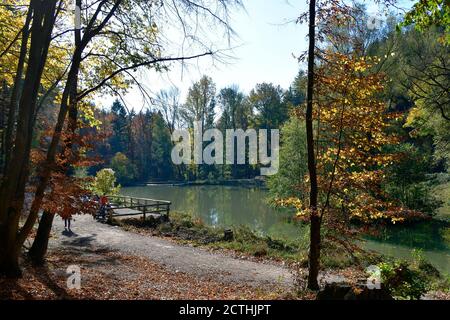 Sparbach, Austria - 26 ottobre 2019: Persone non identificate riposano sullo stagno, un'impressione autunnale nella riserva naturale Sparbach, bassa Austria Foto Stock