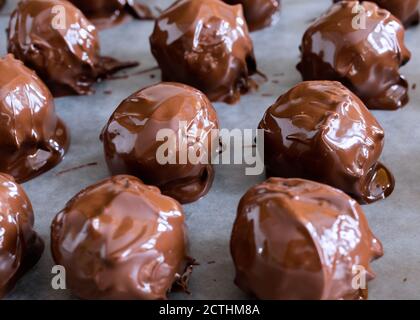 Palline di cioccolato al burro di arachidi appena immerse su carta pergamena su un foglio di biscotti. Foto Stock