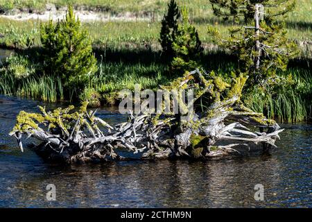 Fiume Firehole lungo il Lone Star Trail, Yellowstone National Park Foto Stock