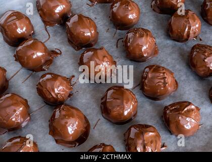 Palline di cioccolato al burro di arachidi appena immerse su carta pergamena su un foglio di biscotti. Foto Stock