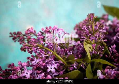 Bouquet di fiori viola lilla su sfondo smeraldo. Elegante biglietto d'auguri floreale. Buon giorno delle madri. Foto Stock