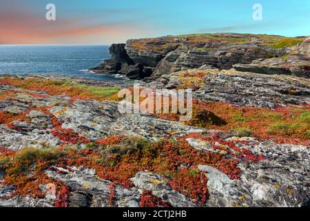 Penrhos Bay vicino Trearddur su Holy Island, Anglesey, Galles del Nord, è una piccola insenatura con spettacolari scogliere composte da roccia di Precambrian. Foto Stock