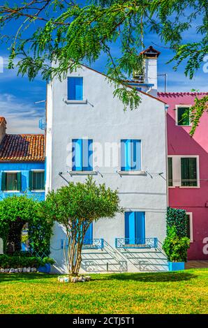 Casa con pareti bianche e finestre blu e colorati edifici dell'isola di Burano con alberi verdi e prato, cielo azzurro in giornata di sole, provincia di Venezia, Regione Veneto, Italia settentrionale. Burano cartolina Foto Stock