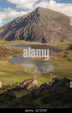 Vista di Pen YR Ole Wen dalla passeggiata a Devil's Kitchen in Snowdonia. A metà mattina il sole illumina la Valle di Ogwen e un albero soleggiato che si erge nella fo Foto Stock