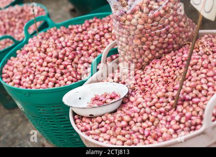 Grandi cestini di molte cipolle rosse piccole al mercato agricolo locale in Thailandia. Foto Stock