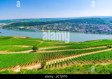 Vista panoramica aerea della gola del Reno o della regione vinicola della Valle del Medio Reno superiore con campi verdi vigneti, città di Bingen am Rhein, cielo blu, Renania-Palatinato, stati dell'Assia, Germania Foto Stock
