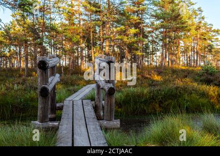 Ponte di legno che conduce su fossato in torba. Foto Stock