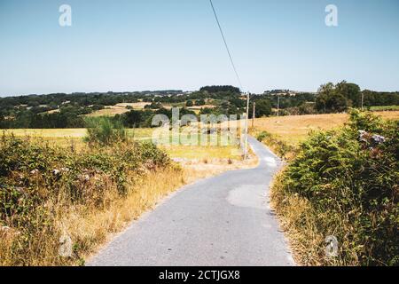 percorso circondato da vegetazione contro il cielo blu Foto Stock