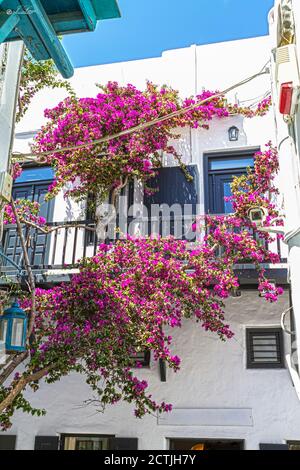 Balcone nel vicolo dell'isola greca di Mykonos coperto con bellissimi rami di alberi con fiori rosa Foto Stock