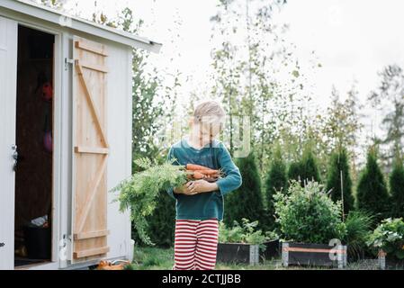 ragazzo giovane che tiene le carote coltivate a casa nel suo giardino In Svezia Foto Stock