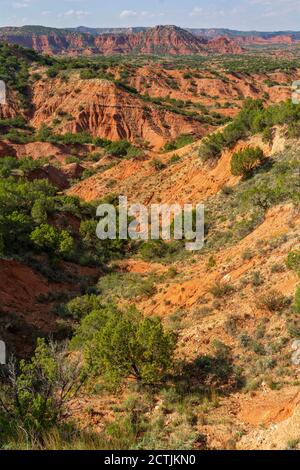 Texas Plains Trail, Briscoe County, Quitaque, Caprock Canyons state Park e Trailway Foto Stock