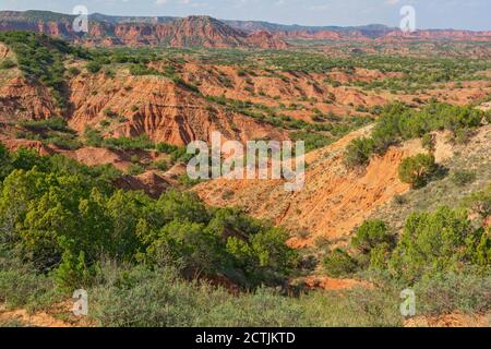 Texas Plains Trail, Briscoe County, Quitaque, Caprock Canyons state Park e Trailway Foto Stock