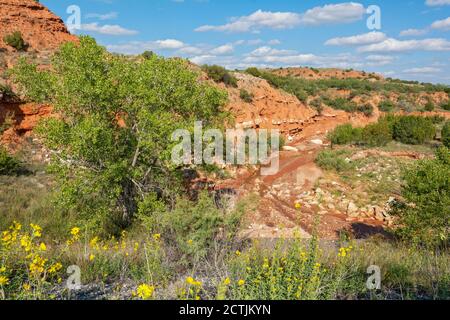 Texas Plains Trail, Briscoe County, Quitaque, Caprock Canyons state Park e Trailway Foto Stock