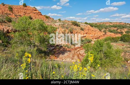 Texas Plains Trail, Briscoe County, Quitaque, Caprock Canyons state Park e Trailway Foto Stock