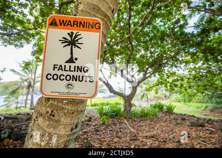 Un cartello segnaletico per la caduta di cocco al Waianapanapa state Park, Hana, Maui, Hawaii. Foto Stock