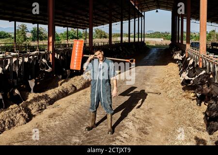 Contemplando coltivatore che trasporta la pala sulla spalla mentre sta in piedi nel bestiame circondato da mandria di mucche Foto Stock