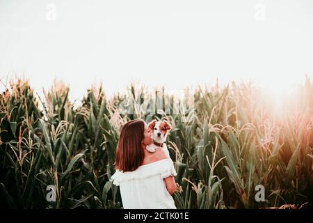 Vista posteriore di giovane donna con cane a campo di mais durante tramonto Foto Stock