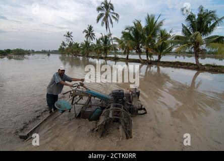 Sungai Udang, Penang/Malaysia - Mar 05 2017: Trattore agricolo che guida in risaie durante la stagione delle alluvioni. Foto Stock