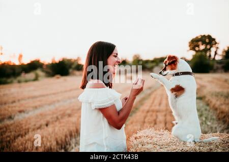 Donna che gioca con il cane sulla balla di paglia durante il tramonto Foto Stock