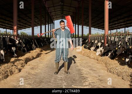 Contadino che porta la pala sulla spalla mentre si trova in piedi in bestiame circondato da mandria di mucche Foto Stock