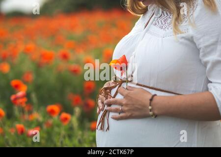 Primo piano di una donna incinta con le mani sullo stomaco che tiene papavero Foto Stock