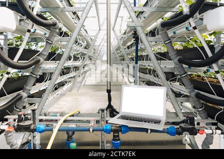 Computer portatile su attrezzature di irrigazione contro piante in serra Foto Stock