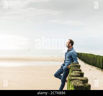 Uomo pensieroso in piedi da pali di legno sulla spiaggia contro il cielo durante il tramonto Foto Stock