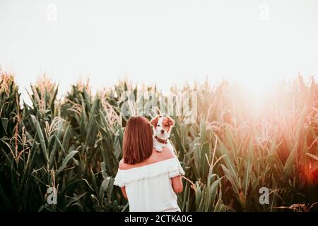 Vista posteriore di giovane donna con cane a campo di mais durante tramonto Foto Stock