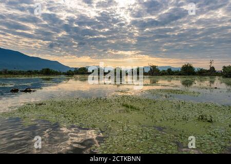 Lago Kerkini all'alba, Macedonia, Grecia Foto Stock