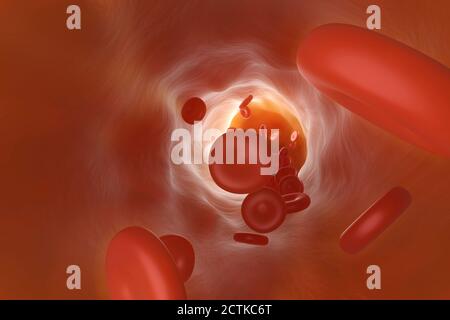 Rappresentazione tridimensionale dei globuli rossi che scorrono attraverso la vena Foto Stock